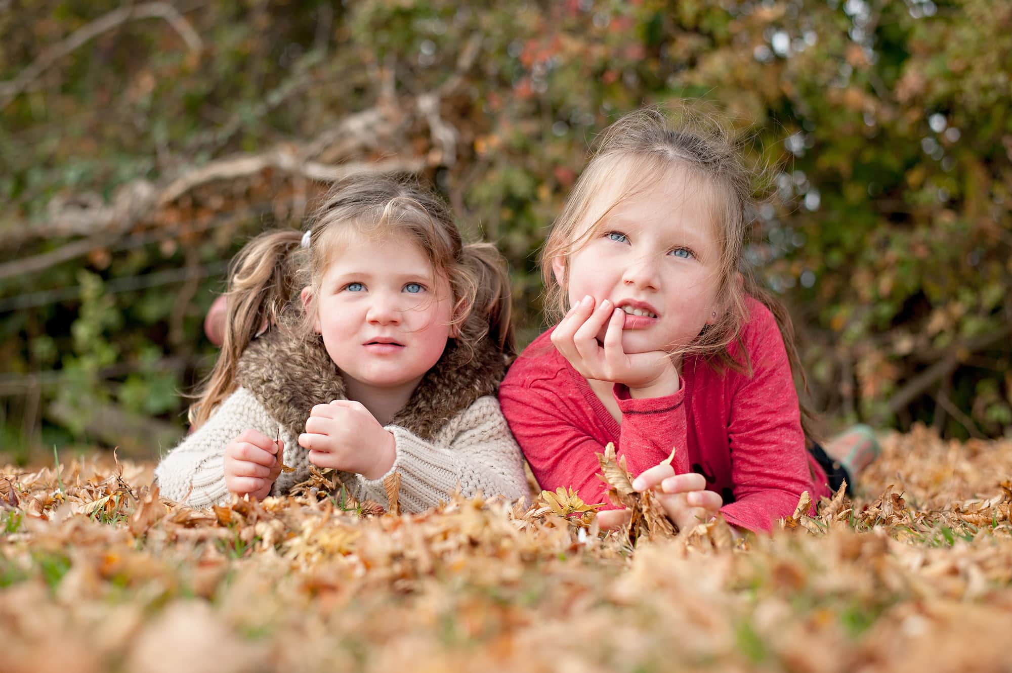 Girls laying in autumn leaves in photo session in Harlow, Essex